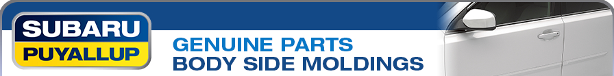 Learn more about body side molding from Subaru of Puyallup serving Tacoma, WA