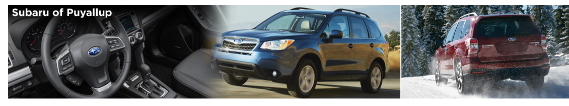 2016 Subaru Forester Model Information in Puyallup, WA 2016 Subaru Forester Model Information in Puyallup, WA